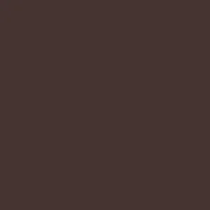 Carta Bella Printed Cardstock - Chocolate