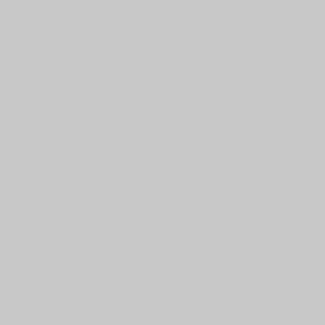 Carta Bella Printed Cardstock - Light Gray