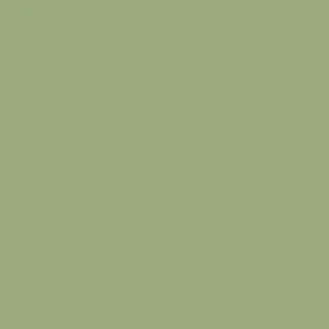 Carta Bella Printed Cardstock - Olive