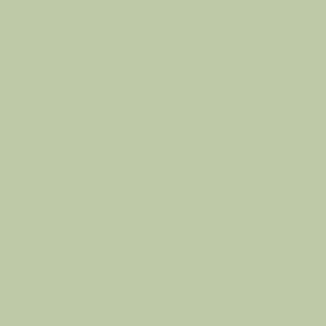 Carta Bella Printed Cardstock - Sage