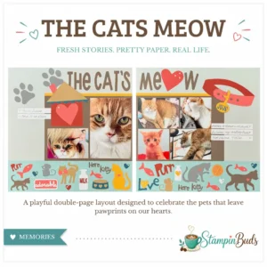 The Cat's Meow pet scrapbook layout featuring photos of an orange cat named Julius.