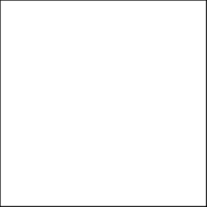 Carta Bella Printed Cardstock - White